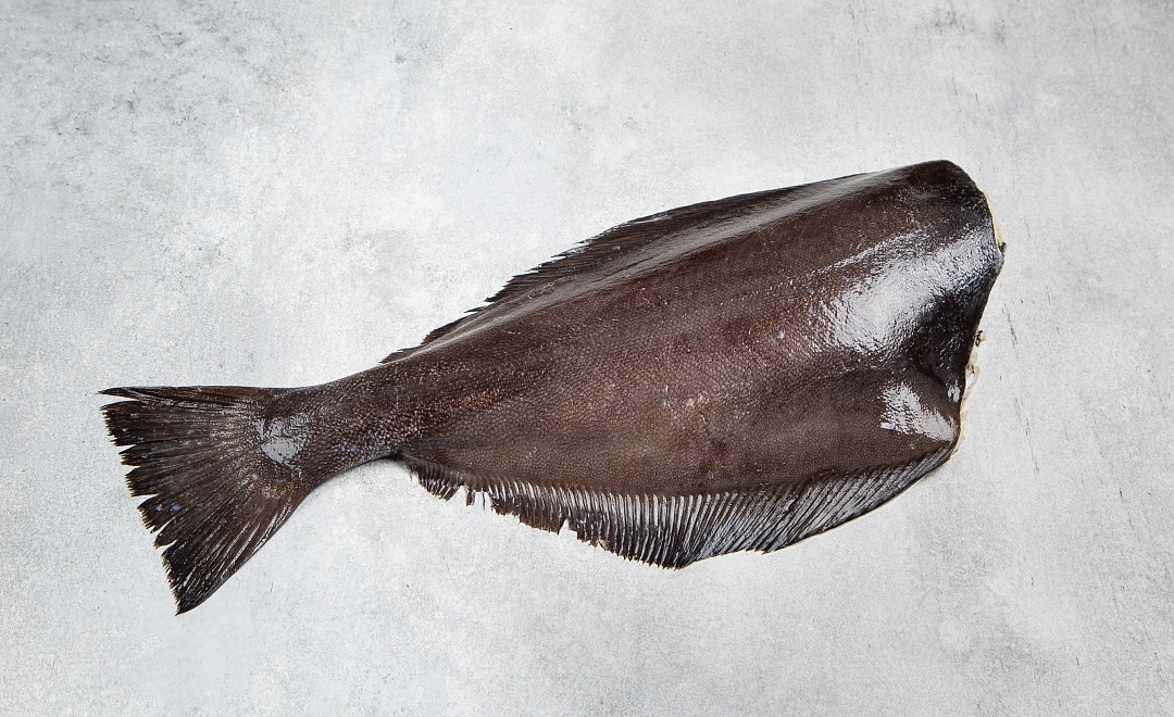 Палтус потрошёный без головы охлаждённый