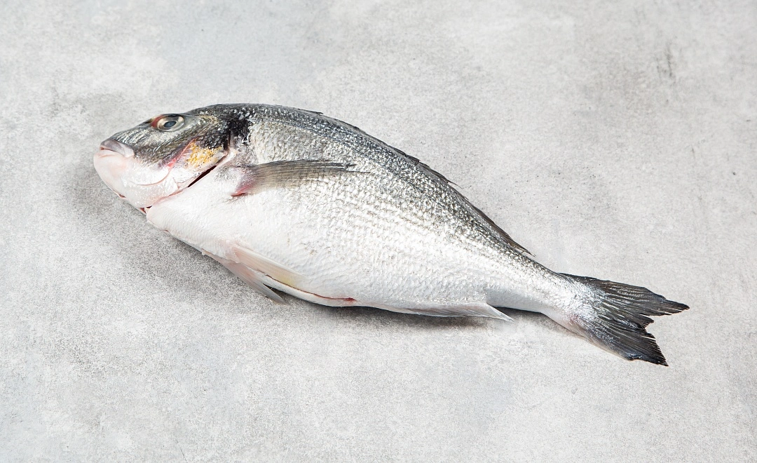 Дорадо потрошёная охлажденная