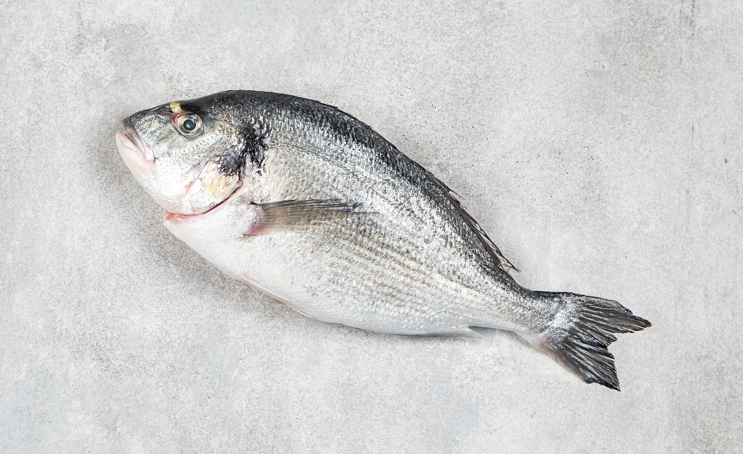 Дорадо потрошёная охлажденная