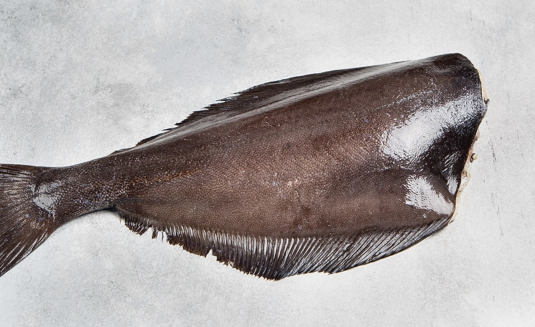 Палтус потрошёный без головы охлаждённый