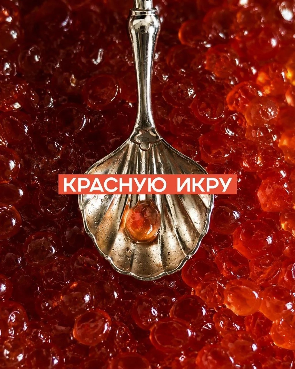 Рыбный четверг